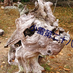 小雷第二十八部全部目录