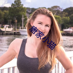 唐家小(xiǎo)猫
