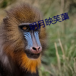 918博天堂·(中国)手机版客户端