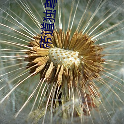 乐虎国际·lehu(中国)官方网站登录