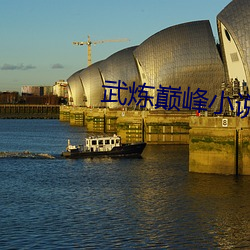 武炼巅峰小说