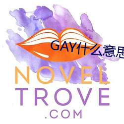 GAY什么意思