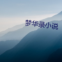 梦华录(lù)小(xiǎo)说