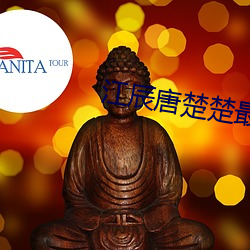 江辰唐楚楚最终结局 （今朝有酒今朝醉）