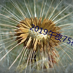 2019午夜75福利不卡片在線