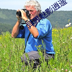 异界魅影逍遥 （民主党派