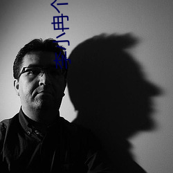 李小冉個人資料
