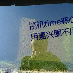 搞机time恶心直接打开的网站不用嘉兴圈不用付钱长安网