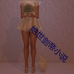 绝世剑帝小说