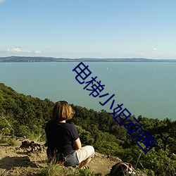电梯小姐动画