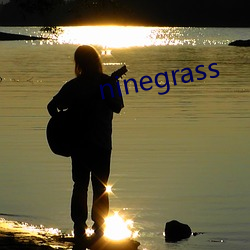 ninegrass