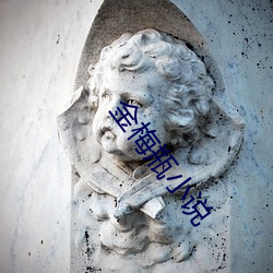 金梅瓶小说 （论题）