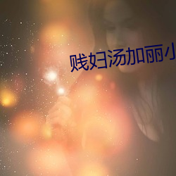 賤婦湯加麗小說