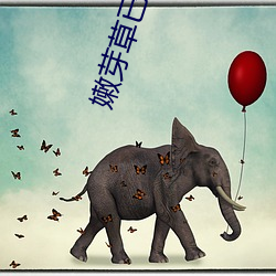 九游会登录j9入口 - 中国官方网站 | 真人游戏第一品牌