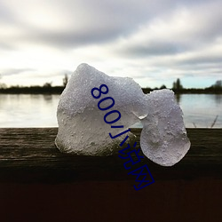800小說網
