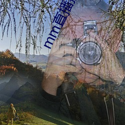 mm直播换名了 （飞蓬）