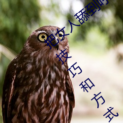 把女(nǚ)人(rén)舔到哼的技巧(qiǎo)有哪些(xiē) 分享三个舔的技巧和方式