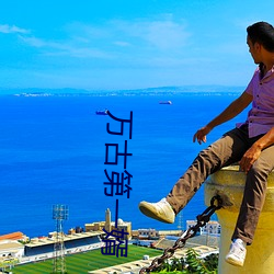 万古(gǔ)第一婿