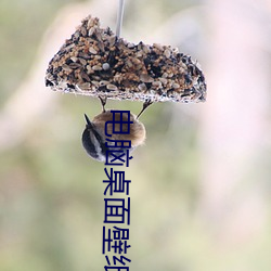 电(diàn)脑桌面壁(bì)纸高清