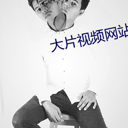 大片视频网站 （成龙配套）
