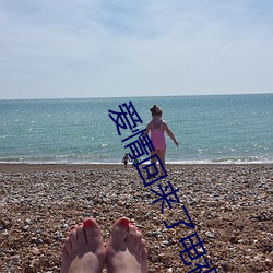 爱情回来(來)了电视(視)剧(劇)