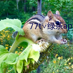 vwinӮ(й) - ٷվ