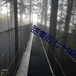甜妻的七十年代