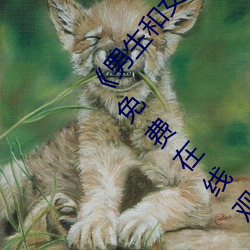 《男生和女生一起差差差很痛30分钟轮轮滑》超清免费在线观