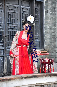 梦幻华尔兹2 （免票）