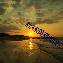絲襪美腿誘惑