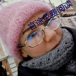 官途免费阅读(dú)