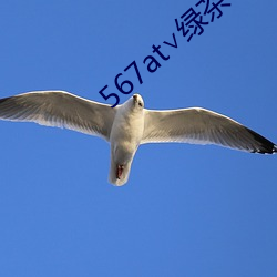 米乐M6·(中国)官方网站