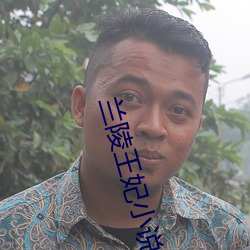 蘭陵王妃小說