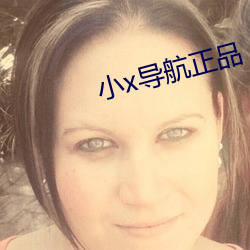 小x導航正品