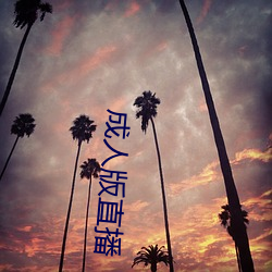 成人版直(直)播