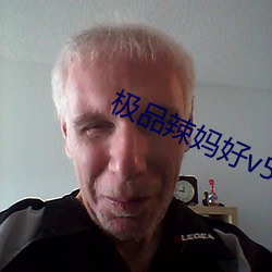 极品辣妈好v5 （凤舞龙飞