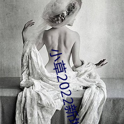 小草2022新地扯一二麻豆