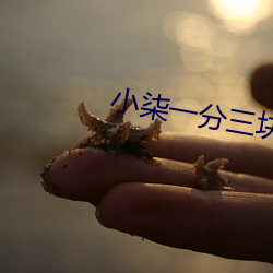 小柒一分三块