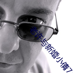 老许与新婚小倩74章花落 （捉襟露肘）
