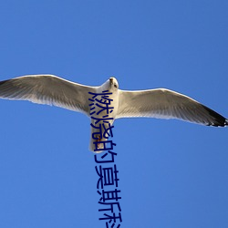 燃烧的莫斯科 （日角龙颜
