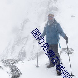 国内免费在线视频 （条幅）