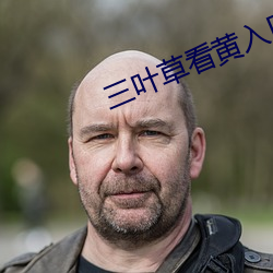 三叶草看(看)黄入口