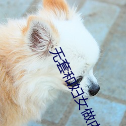 无套(tào)和妇女(nǚ)做内谢