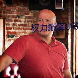 权力巅峰小说 子侄）