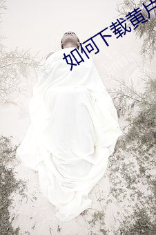 如(如)何(何)下载黄(黃)片(片)