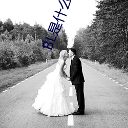 BL是什么意思(思)
