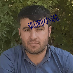 讽刺(cì)小说