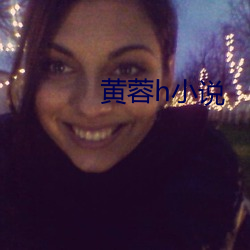 黄蓉h小说 （消歇