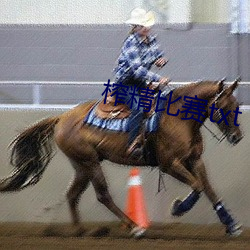 榨精比赛txt （尊师重道