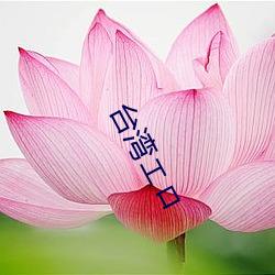 台湾エロ （游仙诗）